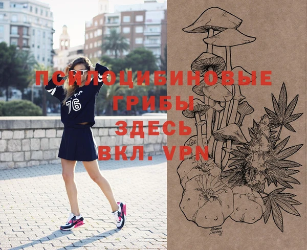 СК Алексеевка