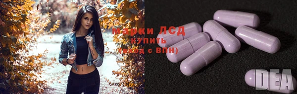 ПСИЛОЦИБИНОВЫЕ ГРИБЫ Алексин
