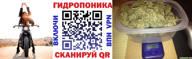 Каннабис Ganja  Большой Камень 